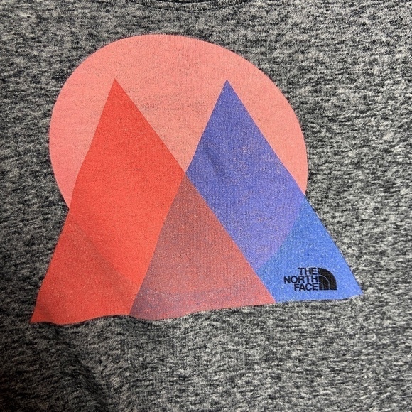 THE NORTH FACE | Gray Round Neck Graphic Tee - Picture 4 of 5